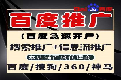 百度广告推广案例解析